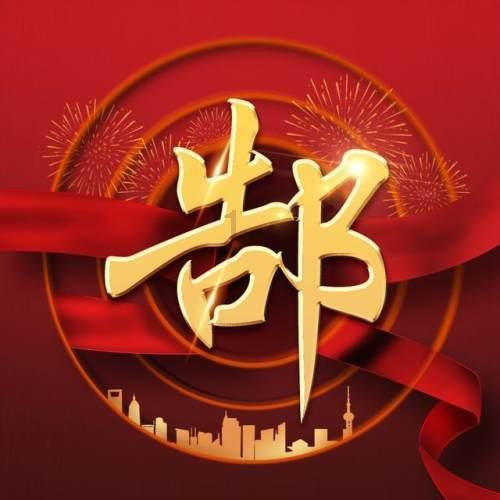 可爱的小考拉