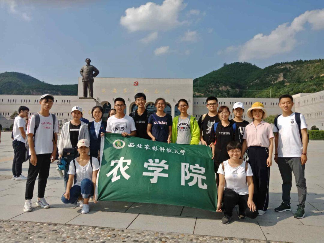 夺取珊瑚礁占领海草田？海底策略手游《World of Water》海外上榜暨前十