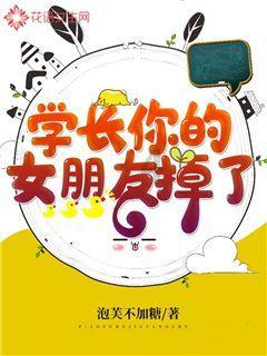 狗狗物品记忆卡