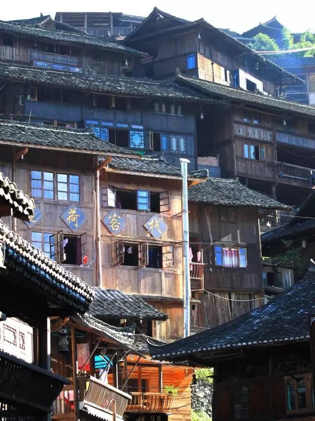 种养循环让小庭院变成“聚宝盆”